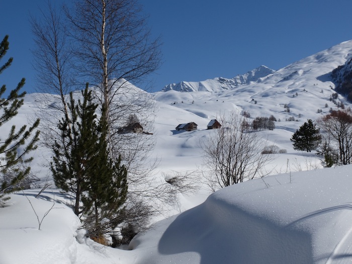 DSCF9490.JPG
